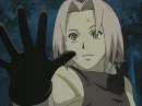 sakura