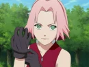 sakura