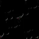 Dark Bats BG Tile