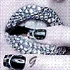 lip