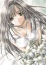 grey,anime