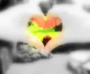 heart . 