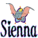 Sienna - Dumbo