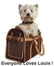 Everyone Loves Louis Vuitton