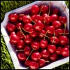 cherries