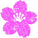 Pink Flower