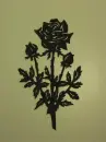 black rose
