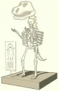 barney