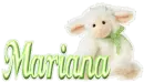 mariana little sheep