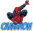 Spiderman for Cameron