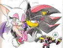 Dark Couple: Rouge and Shadow