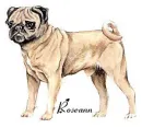 Name