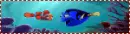 nemo