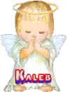 Kalebs angel
