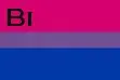 Bi pride