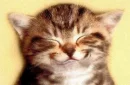 Smiling kitty(aww)