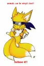 animal ninja's!!