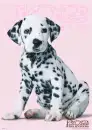 102 dalmations