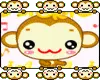 Cute dancing monkeys