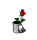 Flowers in a trashcan