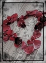 Prome Rose