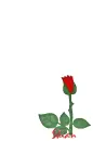 Shian