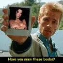 have you seen these? momento