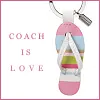 coach