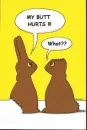 Haha BUNNIES!
