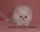 HaTe