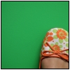shoe