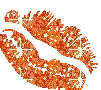orange kiss