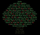 girls are like apples