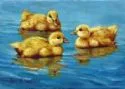 Duckies