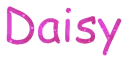 daisy