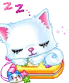 Cell phone kitty