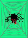 Spider Web