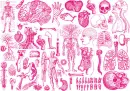body parts .