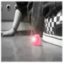 shoe and my heart