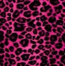 Pink leopard skin