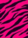 Pink zebra