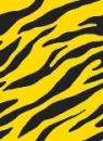 Yellow zebra