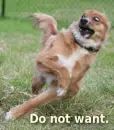 Do not want!
