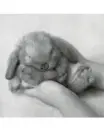 angel bunny