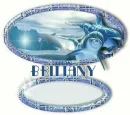 Dolphin's flying from a mirror.. Brittany