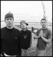 blink 182