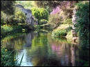 Dreamscape