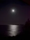 Maine Moonlight
