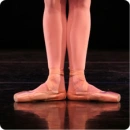PointeShoes