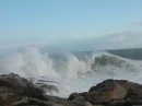 Wave